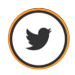 Twitter social icon